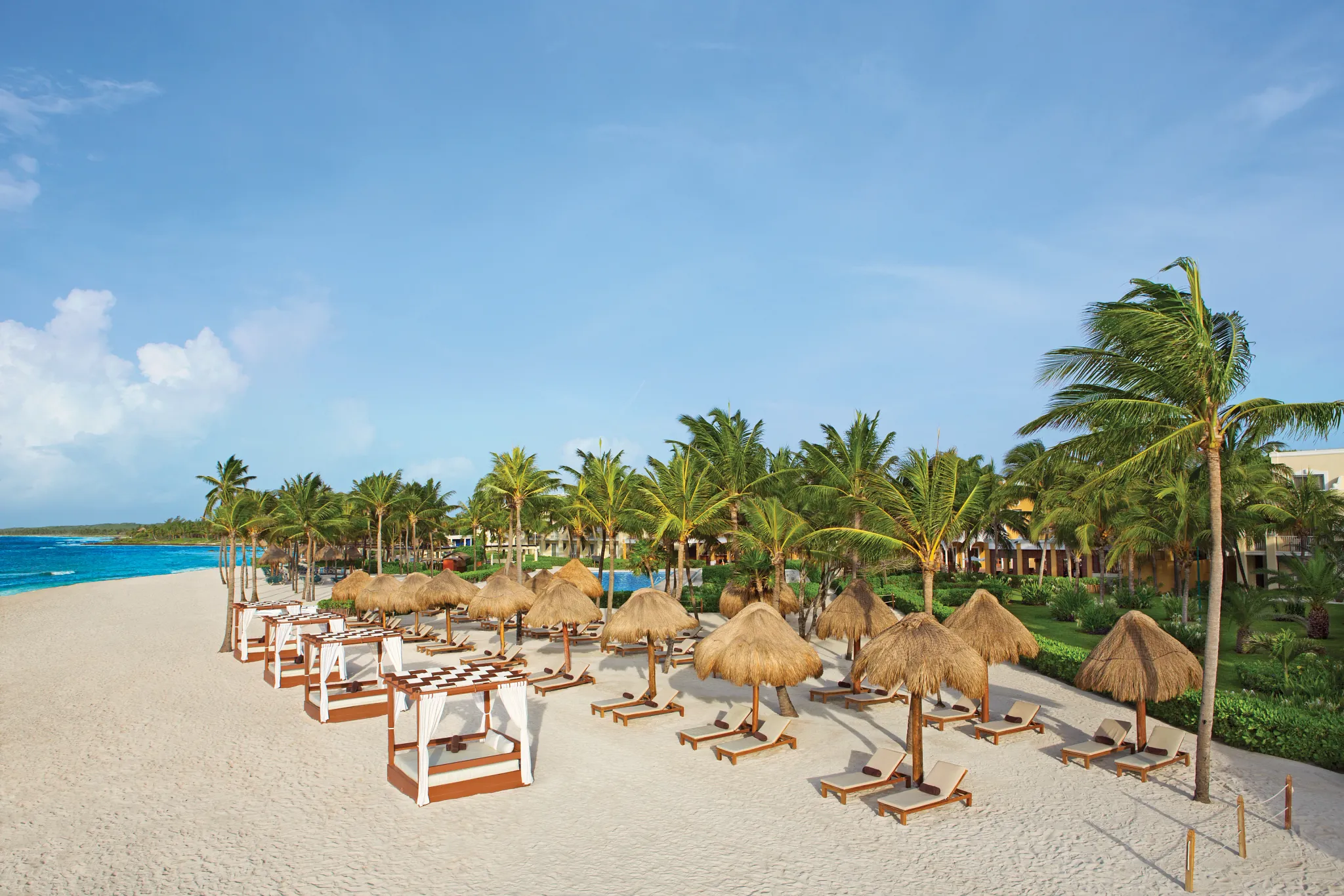 beach lined with lounged seating and umbrellas