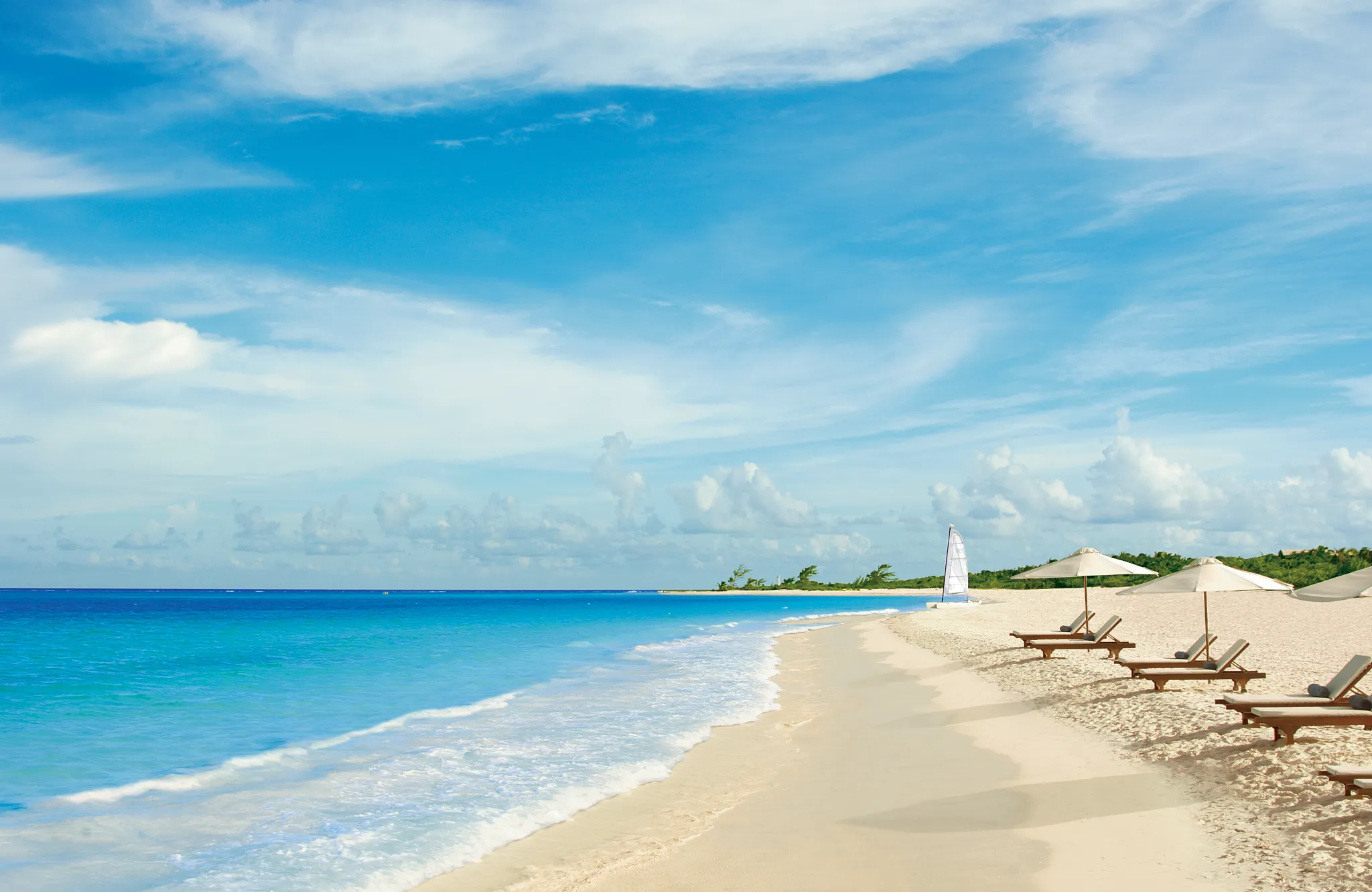 white sand beach area of a resort with lounge chairs and catamaran