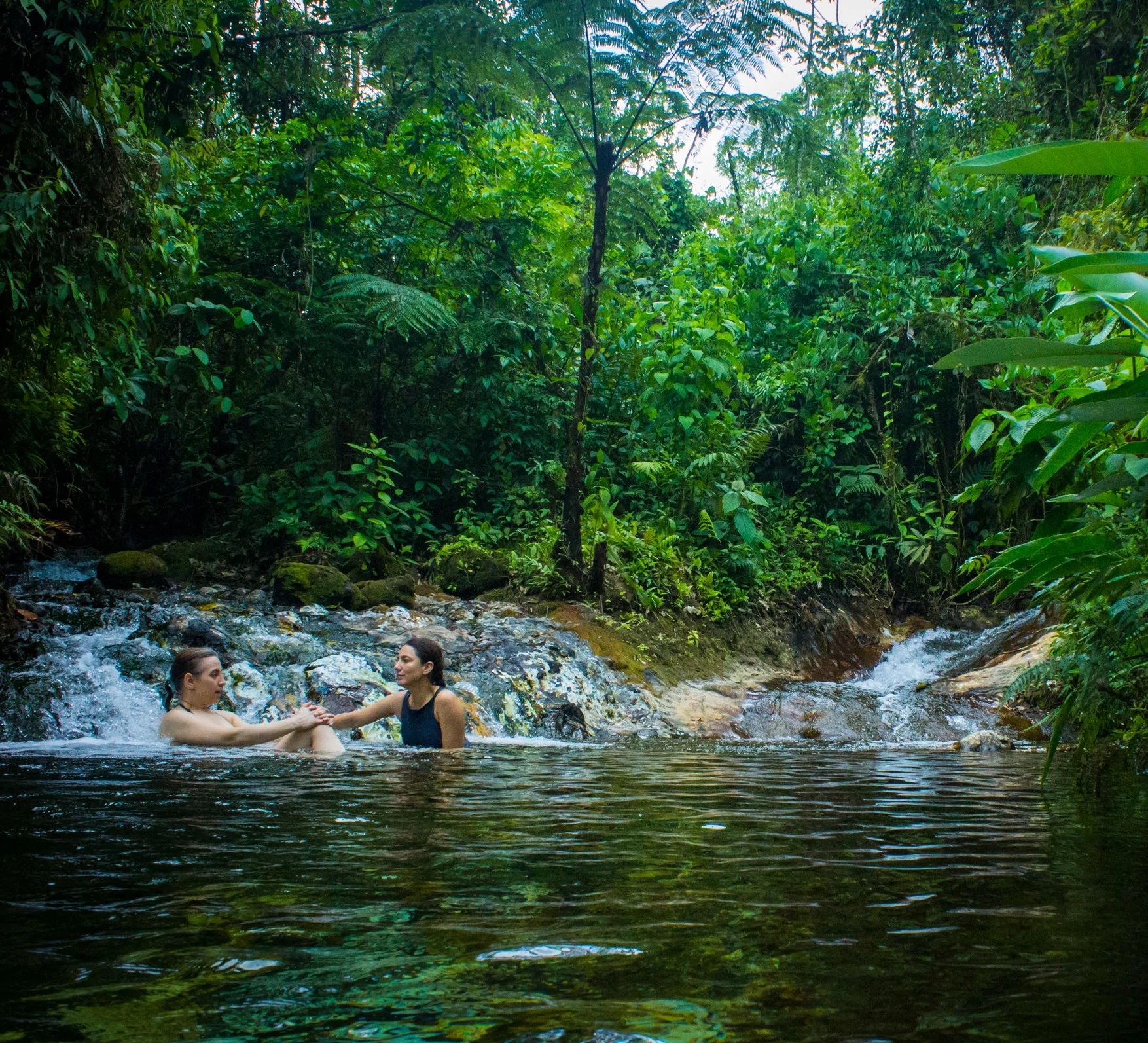 Sensoria Land Of Senses And Magical Rainforest