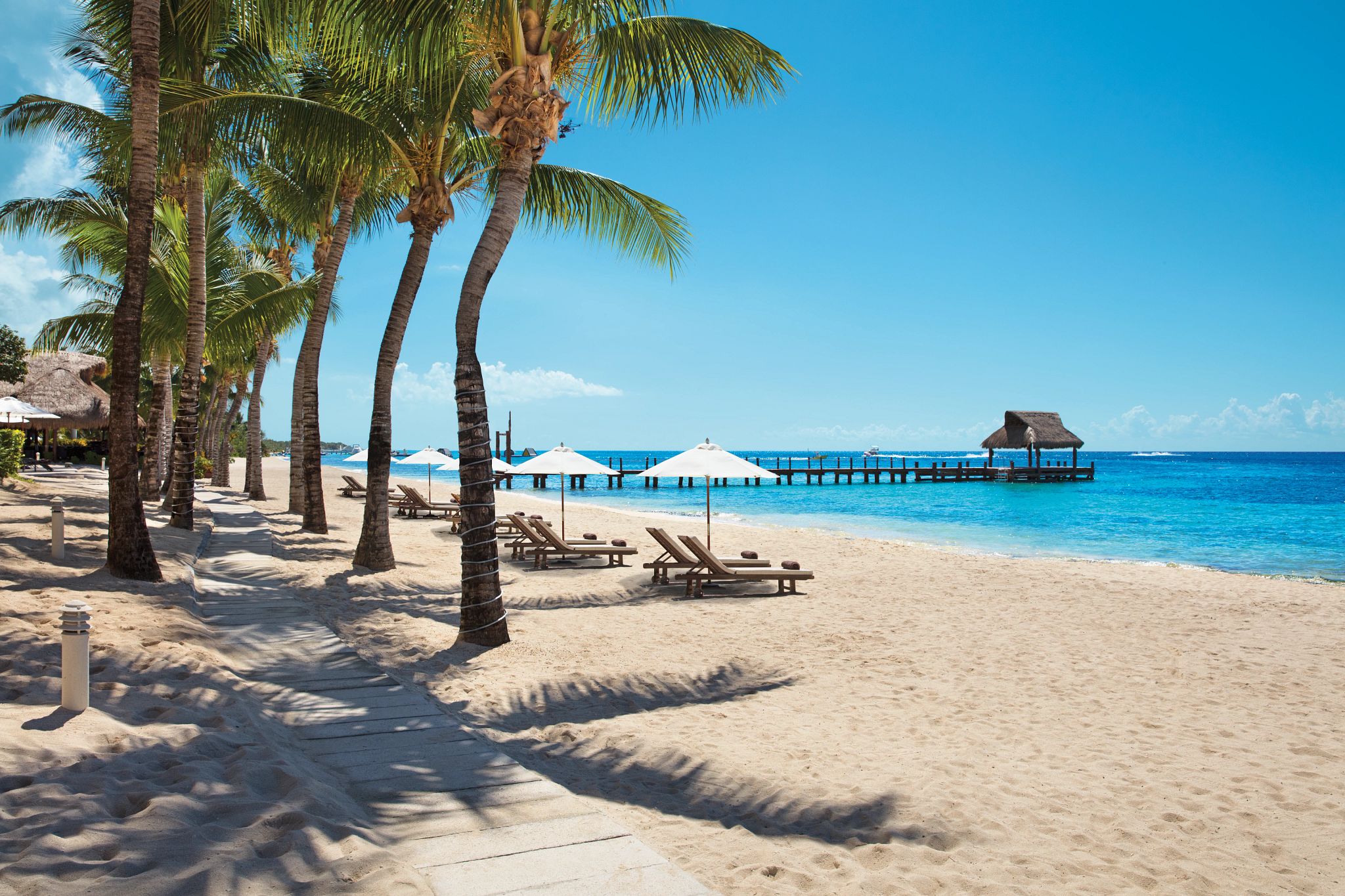 white sand beach with palm trees and a pier over the water