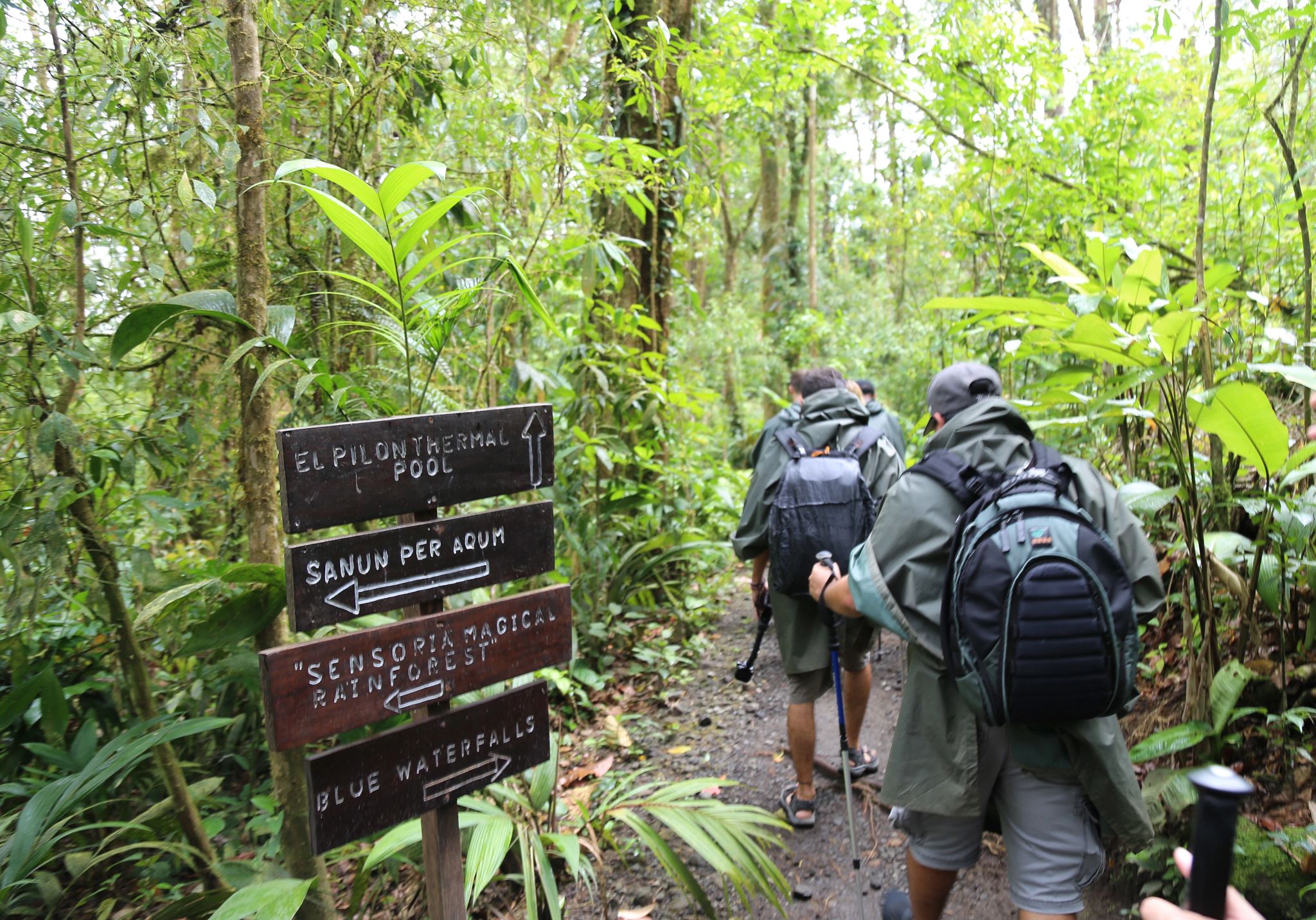 Sensoria Land Of Senses And Magical Rainforest Sensoria Land of Senses & Magical Rainforest Tour in Guanacaste, Costa