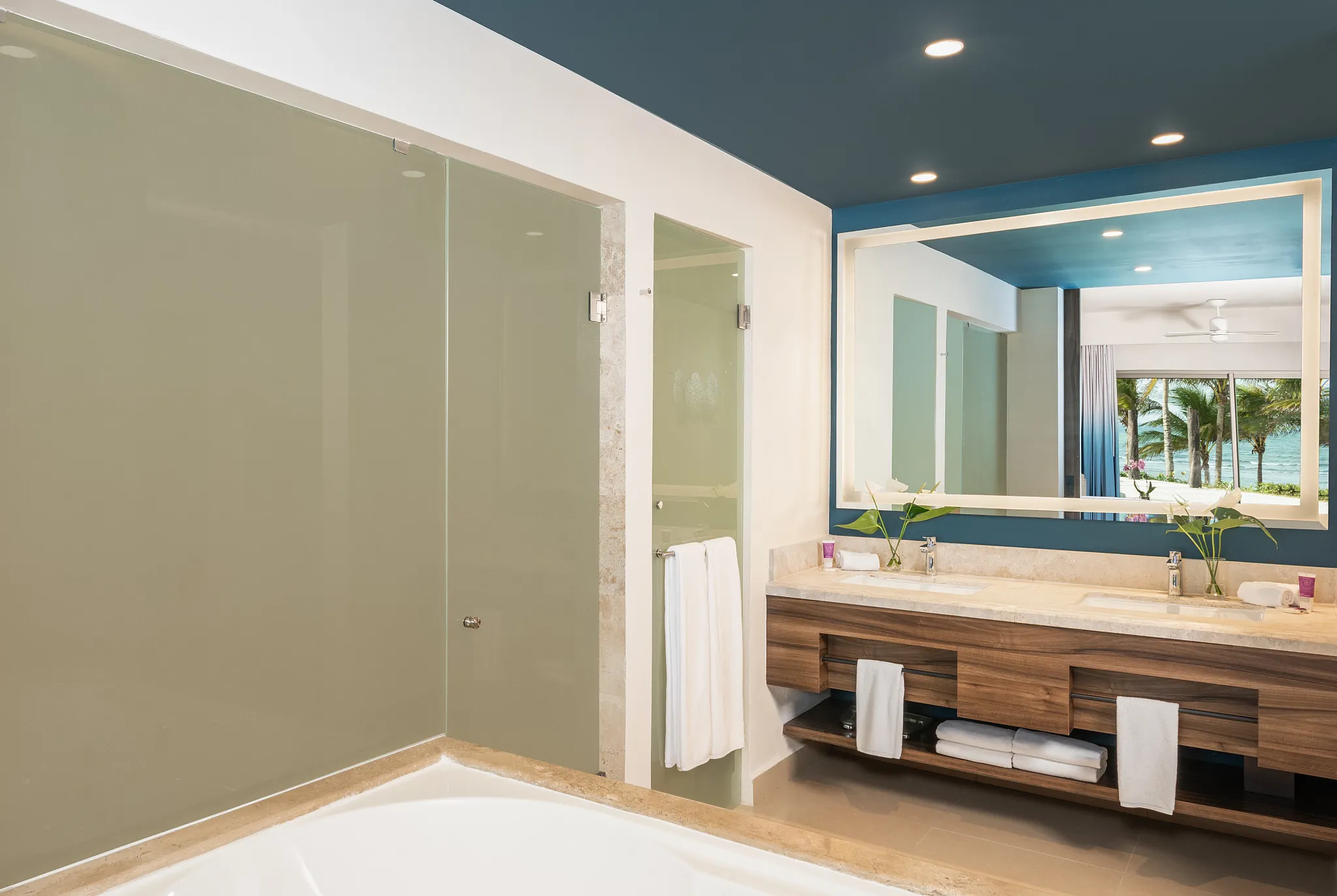 Hyatt Ziva Riviera Maya Bathroom